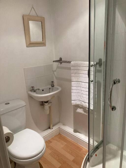 Studio Annexe With Separate Shower Room Broadhempston ภายนอก รูปภาพ